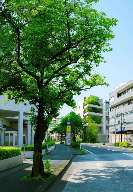 ザ・香里園レジデンス 外観